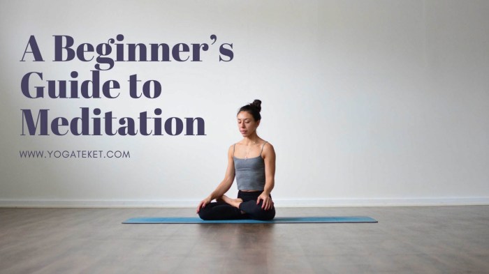 Meditation hands chakra kundalini relaxation chakras mudras positions sanskrit image0 mantras gyan